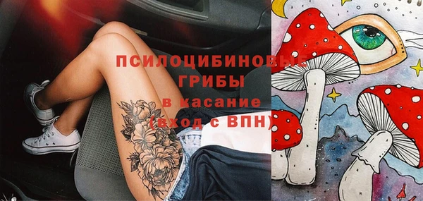 прущие крисы Верея