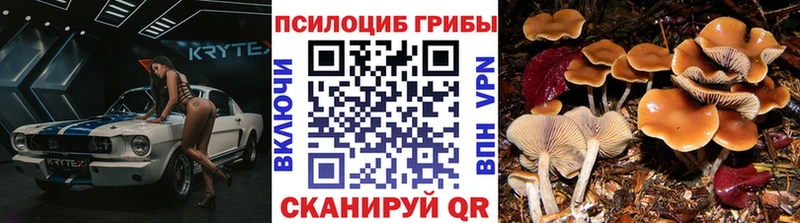 Галлюциногенные грибы Psilocybine cubensis  продажа наркотиков  ОМГ ОМГ ТОР  Кемерово 